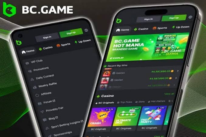 Exploring the Exciting World of BC.Game Platform Exploring the Exciting World of BC.Game Platform